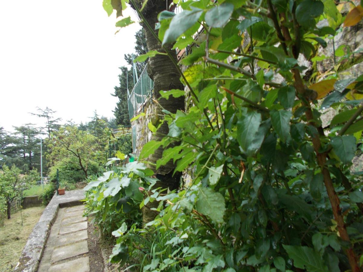 La Vecchia Locanda Castelnuovo di Val di Cecina Luaran gambar