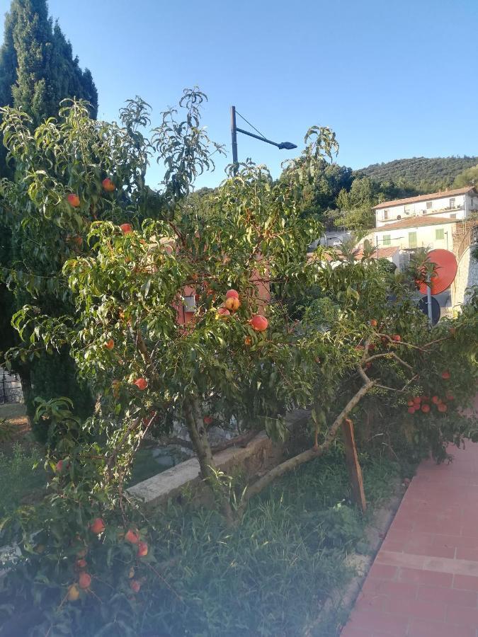 La Vecchia Locanda Castelnuovo di Val di Cecina Luaran gambar
